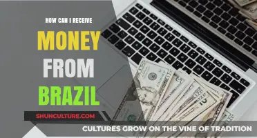Receiving Money from Brazil: A Comprehensive Guide to Secure Transfers