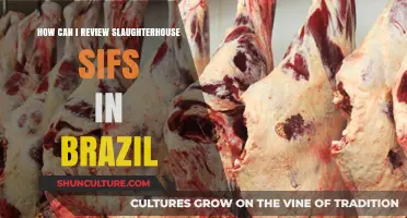 Reviewing Slaughterhouse SIFs in Brazil: A Comprehensive Guide
