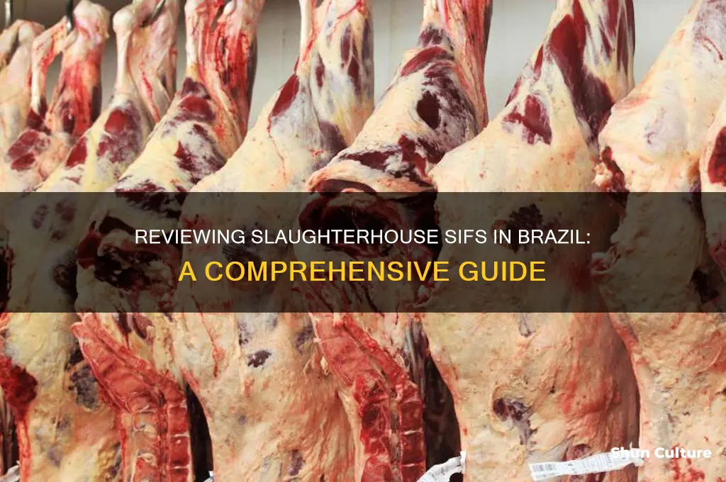 how can I review slaughterhouse sifs in brazil