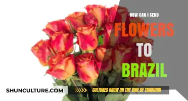 Effortless Flower Delivery to Brazil: Tips and Trusted Services