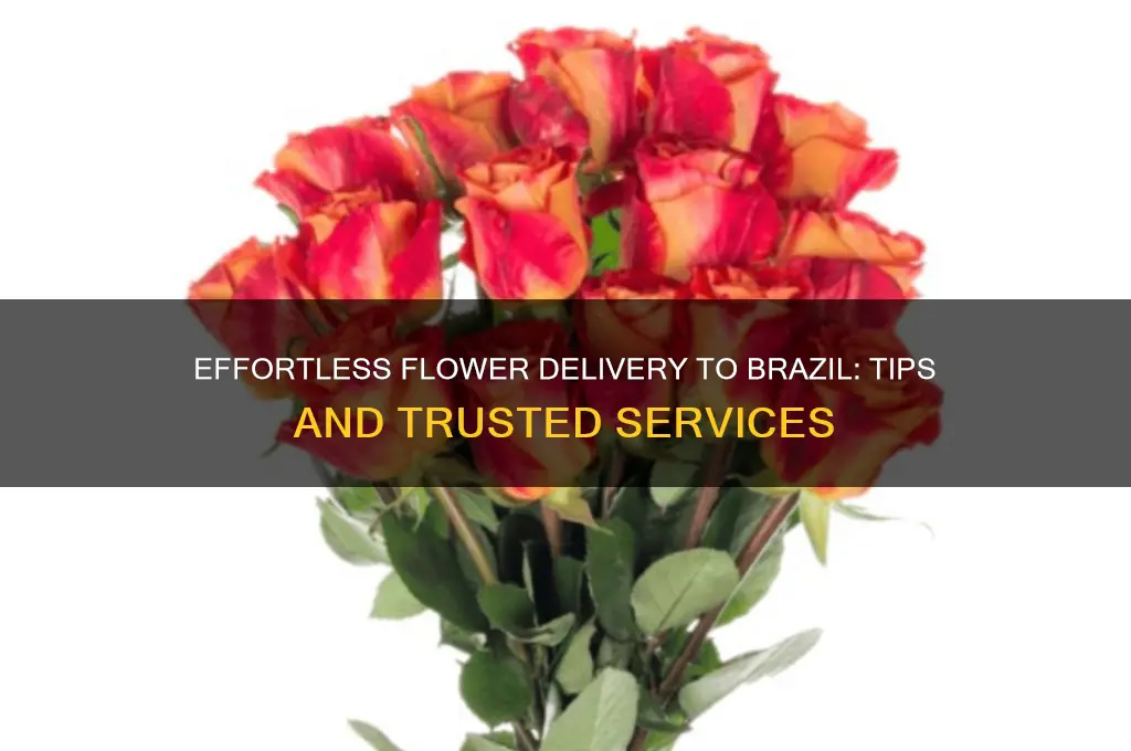 how can I send flowers to brazil
