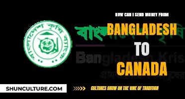 Efficient Ways to Transfer Money from Bangladesh to Canada