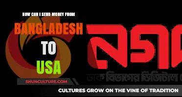 Efficient Ways to Transfer Money from Bangladesh to the USA