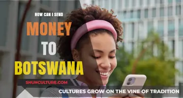 Efficient Ways to Send Money to Botswana: Tips and Options