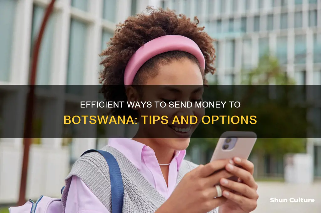 how can I send money to botswana
