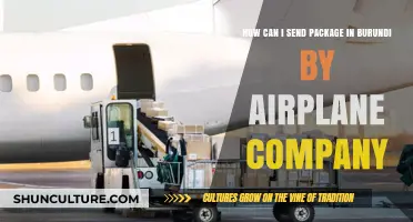 Efficient Air Freight Options for Sending Packages to Burundi