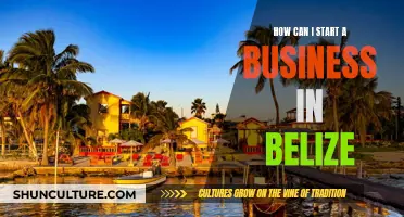 Starting a Business in Belize: A Comprehensive Guide