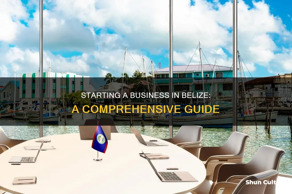 how can I start a business in belize