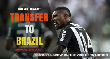 Track Your Money: A Guide to Monitoring Transfers to Brazil