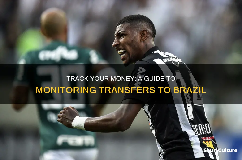 how can I track my transfer to brazil