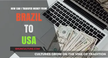 Transferring Money from Brazil to USA: A Step-by-Step Guide