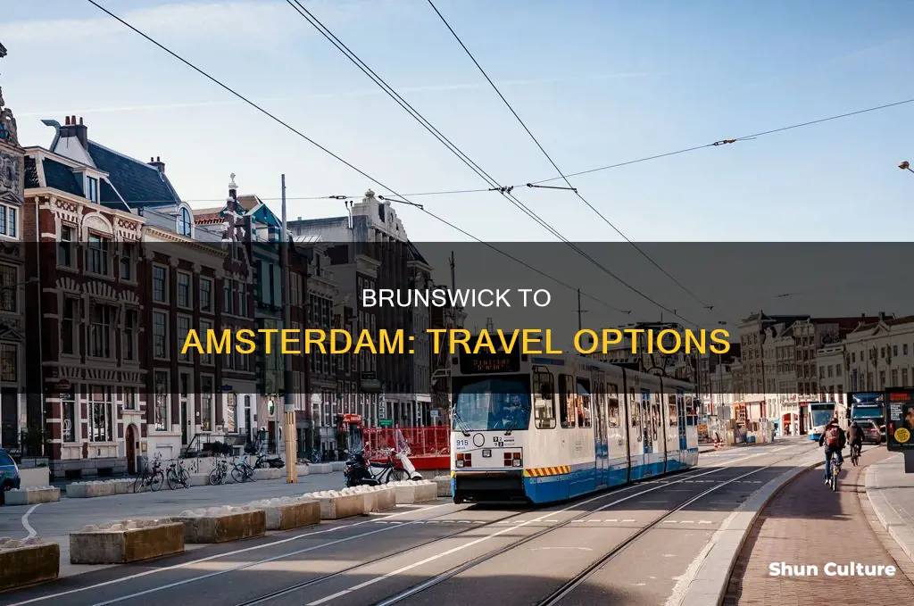 how can I travel from brunswick germany to amsterdam