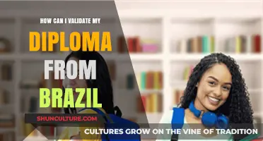 Validate Your Brazilian Diploma: A Step-by-Step Guide for International Recognition
