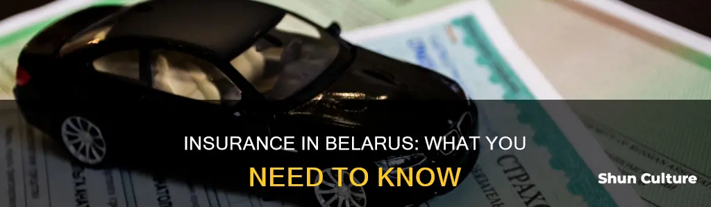 how can inshurance works in belarus