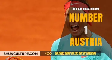 Nadal's Quest: Topping Austria's Tennis Hierarchy