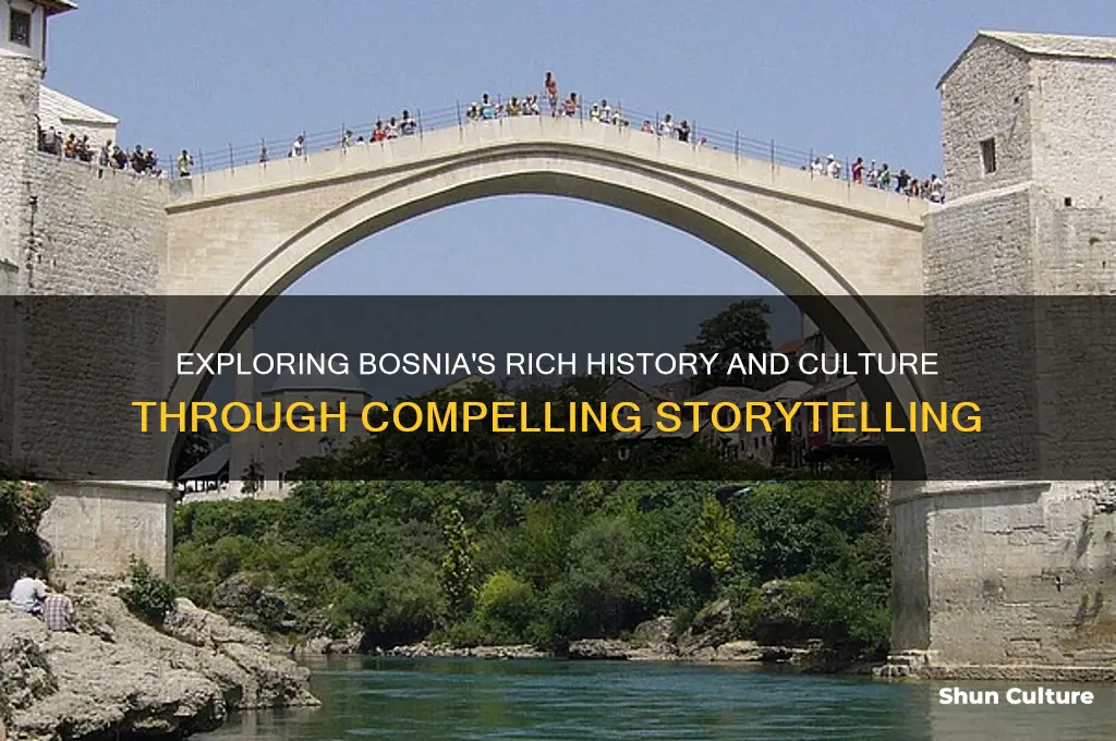 how can one write about bosnia