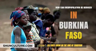 Sustainable Solutions: Tackling Overpopulation in Burkina Faso