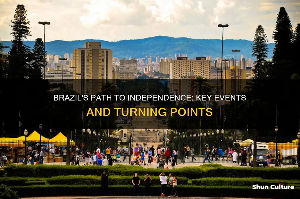 how can the events leading to the independence of brazil