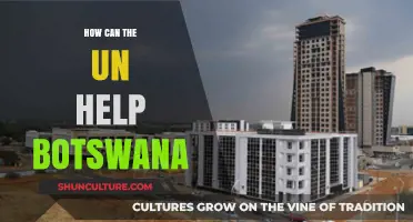 UN Support for Botswana: Strategies for Sustainable Development and Growth