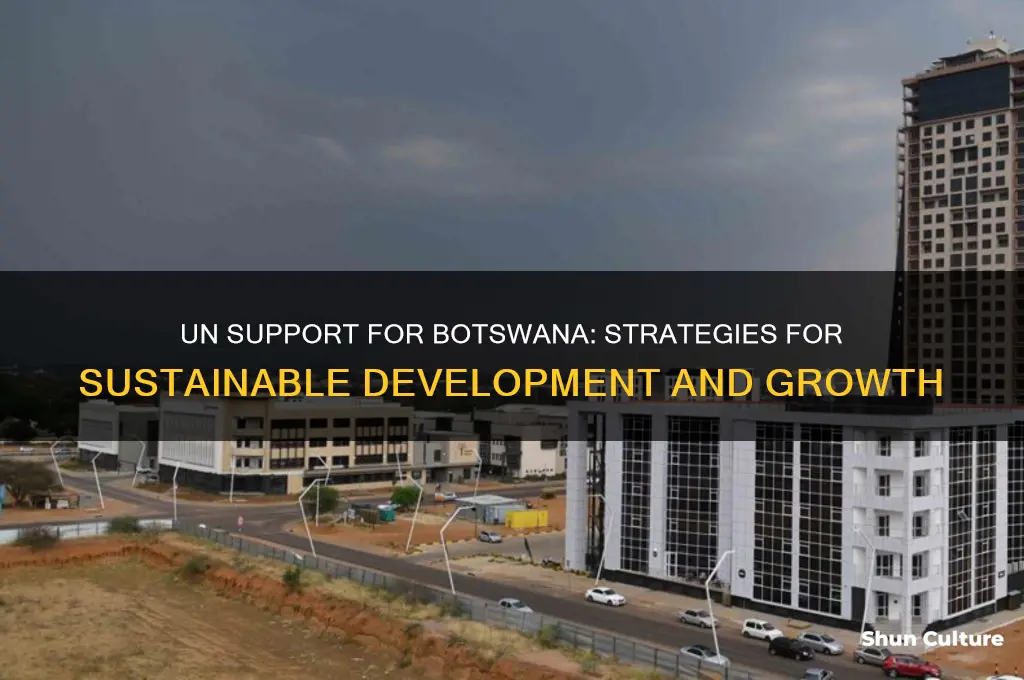 how can the un help botswana