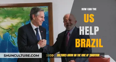 Strengthening US-Brazil Relations: Collaborative Strategies for Mutual Growth and Development