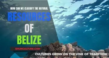 Belize's Natural Resources: A Comprehensive Classification Guide