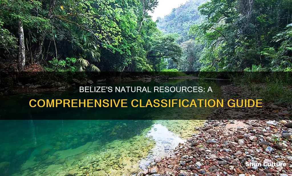 how can we classify the natural resources of belize