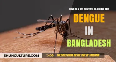 Combating Malaria and Dengue: Effective Strategies for Bangladesh's Public Health
