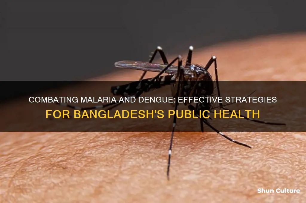 how can we control malaria and dengue in bangladesh