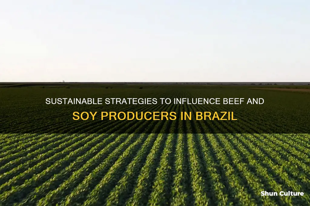how can we influence beef and soy producers in brazil