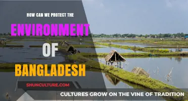 Sustainable Solutions: Protecting Bangladesh's Environment for a Greener Future