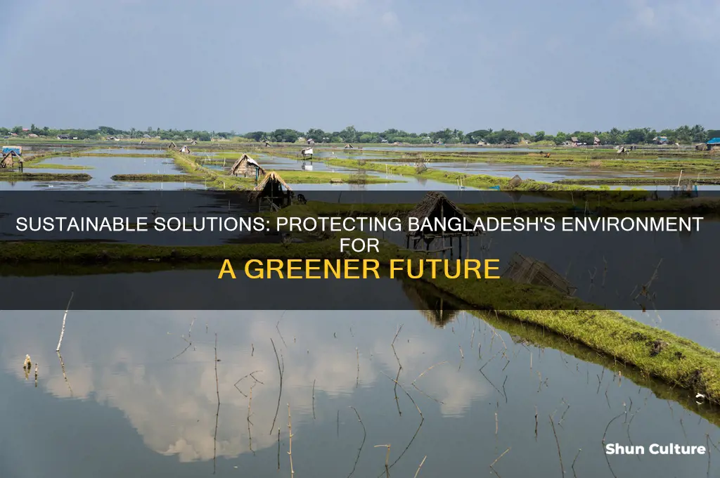 how can we protect the environment of bangladesh