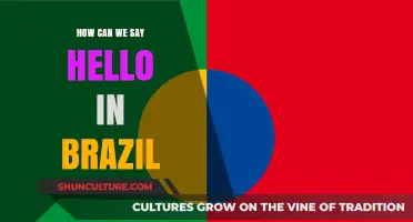 Saying Hello in Brazil: A Guide to Greeting Like a Local
