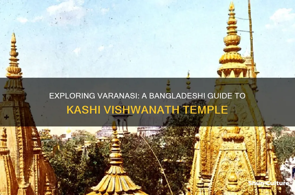 how can we visit varanasi kashi vishwanath from bangladesh