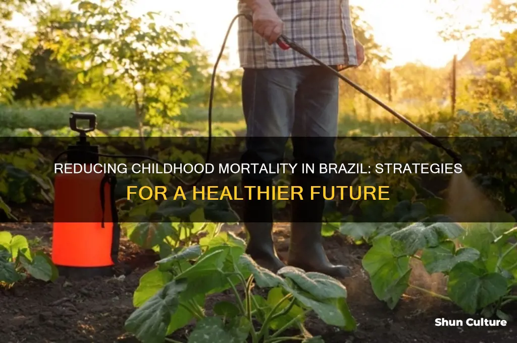 how can you improve childhood mortality in brazil