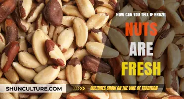 Identifying Fresh Brazil Nuts: Key Signs and Quality Indicators