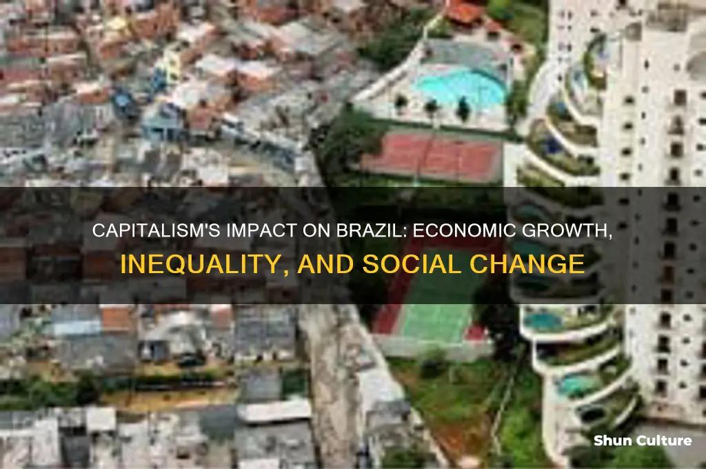 how capitalism has affected brazil