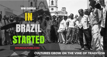 The Vibrant Origins of Brazil's Carnival: A Historical Journey