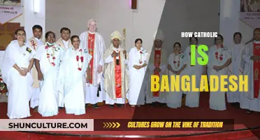 Exploring Bangladesh's Catholic Presence: Faith, Culture, and Community Insights