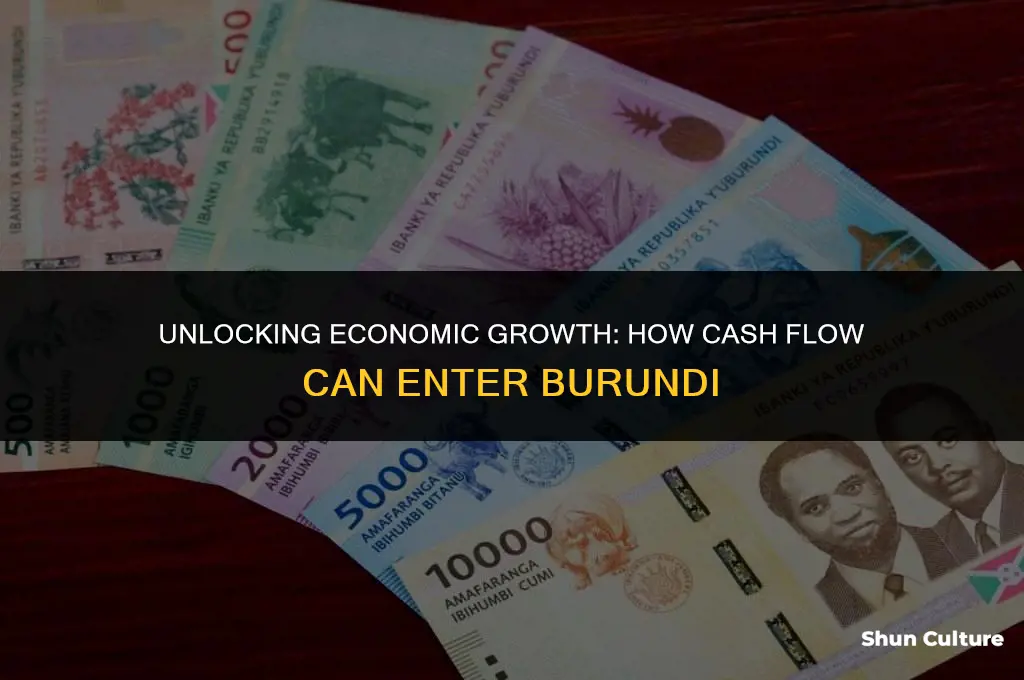 how ch cash can enter into burundi