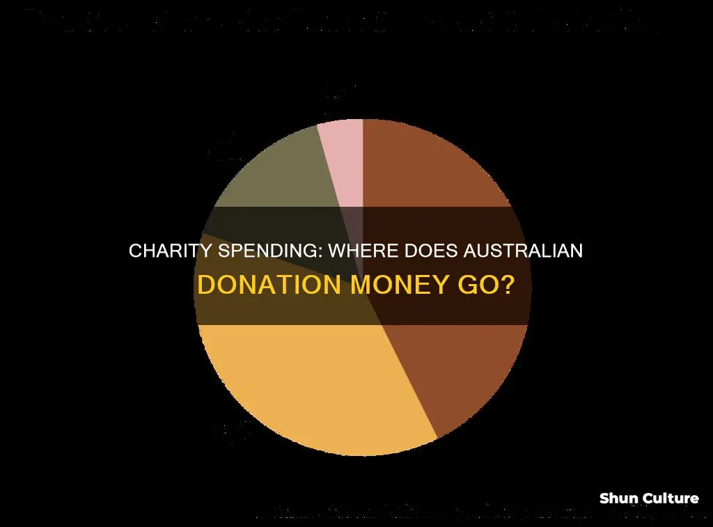 how charities spend their money australia