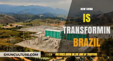 China's Rising Influence: Transforming Brazil's Economy and Infrastructure