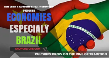 China's Slowdown: Impact on Brazil and Commodity-Dependent Economies
