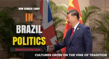 Chinese Influence in Brazil: Lobbying Strategies and Political Impact