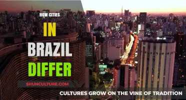 Exploring Brazil's Urban Diversity: Unique Characteristics of Its Cities