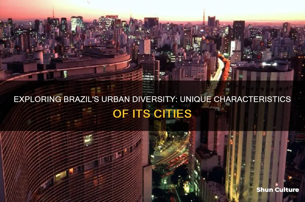 how cities in brazil differ