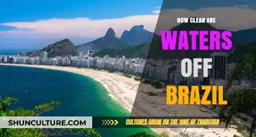 Exploring Brazil's Coastal Waters: Cleanliness, Concerns, and Conservation Efforts