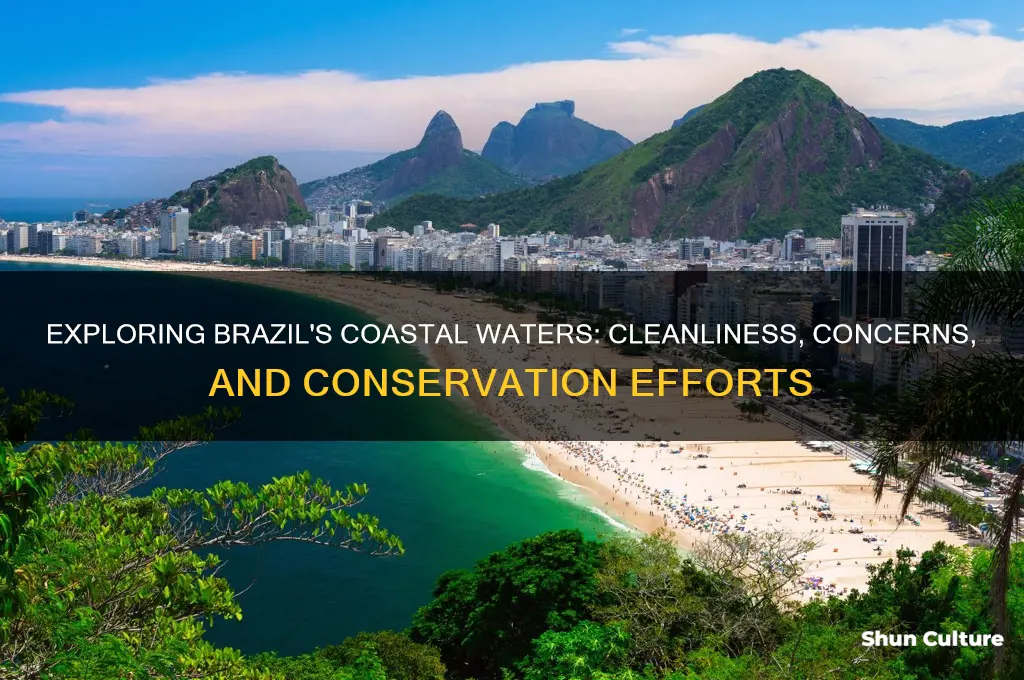 how clean are waters off brazil