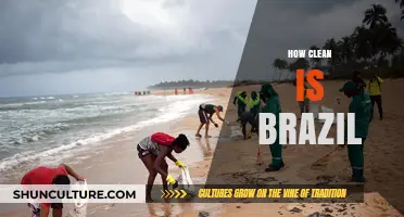 Exploring Brazil's Cleanliness: Environmental Efforts and Urban Challenges