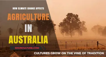 Climate Change: Australian Agriculture's Future Challenges